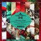 Preview: Paper Favourites - Designpapier "Christmas Kitties" Paper Pack 6x6 Inch - 24 Bogen