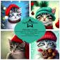 Preview: Paper Favourites - Designpapier "Christmas Kitties" Paper Pack 6x6 Inch - 24 Bogen