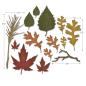 Preview: Sizzix - Stanzschablone "Fall Foliage" Thinlits Craft Dies by Tim Holtz