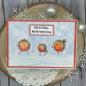 Preview: Woodware - Stempelset "Bubble Hopping Robins" Clear Stamps Design by Jane Gill