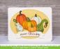 Preview: Lawn Fawn - Stanzschablone "Stitched Gourds" Dies