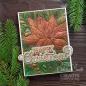 Preview: Creative Expressions - 3D Embossingfolder 5x7 Inch "Poinsettia Bliss" Prägefolder Design by Sue Wilson