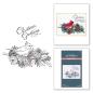 Preview: Spellbinders - Buchdrucktechnik "Christmas Greetings" Press Plate