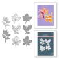 Preview: Spellbinders - Press Plate & Dies "Autumn Leaves"