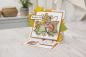 Preview: Crafters Companion - Stempelset "Nature's Harvest" Clear Stamps