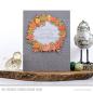 Preview: My Favorite Things Stempelset "Grateful Greetings" Clear Stamps