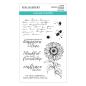 Preview: Spellbinders - Stempelset "Sunflower Greetings" Clear Stamps