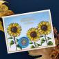 Preview: Spellbinders - Stempelset "Sunflower Greetings" Clear Stamps