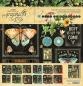 Preview: Graphic 45 - Designpapier "Life is Abundant" Collection Pack 12x12 Inch - 24 Bogen