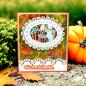 Preview: Creative Expressions - Stanzschablone "Stained Glass Harvest" Craft Dies Design by Sue Wilson