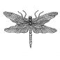 Preview: Crafty Individuals - Gummistempel "Dragonfly Drawing" Unmounted Rubber Stamps 