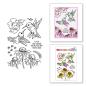 Preview: Stampendous - Stempelset "Hummingbird Day" Clear Stamps