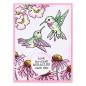 Preview: Stampendous - Stempelset "Hummingbird Day" Clear Stamps