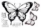 Preview: Crafters Companion - Stempelset & Stanzschablone "Red Admiral Butterfly" Stamp & Dies