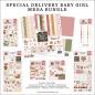 Preview: Echo Park - Komplettpaket "Special Delivery Baby Girl" Mega Bundle