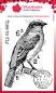 Preview: Woodware - Stempelset "Bluebird" Clear Stamps Design by Francoise Read