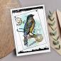 Preview: Woodware - Stempelset "Bluebird" Clear Stamps Design by Francoise Read