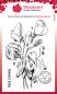 Preview: Woodware - Stempelset "Sweet Pea" Clear Stamps Design by Francoise Read