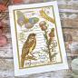 Preview: Woodware - Stempel "Nature Page" Clear Stamps Design by Francoise Read