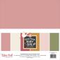 Preview: Echo Park - Cardstock "Special Delivery Baby Girl" Coordinating Solids Paper 12x12 Inch - 6 Bogen 