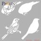 Preview: Pronty Crafts - Schablone 15x15cm "Birds" Stencil 