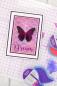 Preview: Crafters Companion - Stempelkissen "Dusk Orchid" Duet ColourBloom Ink Pad