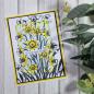 Preview: Creative Expressions - Gummistempel A6 "Daffodil Tapestry" Rubber Stamp