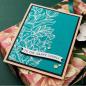 Preview: Spellbinders - Glimmer Hot Foil Plate & Dies "Curved Everyday Sentiments"