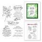 Preview: Stampendous - Stempelset "Sincere Sentiments" Clear Stamps