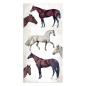 Preview: Stamperia - Designpapier "Romantic Horses" Paper Pack 6x12 Inch - 10 Bogen