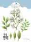 Preview: Elizabeth Craft Designs - Stanzschalone "Floral Greenery 2" Dies