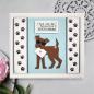 Preview: Creative Expressions - Stanzschablone "Pet Pals" Craft Dies Design by Sue Wilson