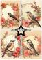 Preview: Paper Favourites - Designpapier "Birds and Flowers" Paper Pack A5 - 24 Bogen