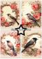 Preview: Paper Favourites - Designpapier "Birds and Flowers" Paper Pack A5 - 24 Bogen