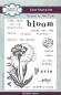 Preview: Creative Expressions - Stempelset A6 "Bloom" Clear Stamps