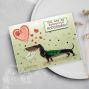 Preview: Creative Expressions - Stempelset "Pet Pals" Clear Stamps 15,2x10,16cm Design by Sue Wilson