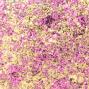 Preview: Cosmic Shimmer - Vergoldungsflocken "Golden Rose" Aurora Flakes 50ml