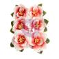 Preview: Prima Marketing - Papier Blumen "Magnolia Rouge" Flowers Blushing Florals