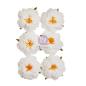 Preview: Prima Marketing - Papier Blumen "Spring Abstract" Flowers Floral Song