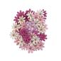 Preview: Prima Marketing - Papier Blumen "Avec Amour" Flowers Endearing Notes