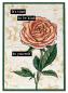 Preview: Studio Light - Stempel "Single Rose" Clear Stamps