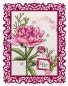 Preview: Studio Light - Stempel "Open Peony" Clear Stamps