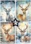 Preview: Paper Favourites - Designpapier "Christmas Stag" Paper Pack A5 - 24 Bogen