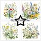 Preview: Paper Favourites - Designpapier "Wild Flowers" Paper Pack 12x12 Inch 8 Bogen