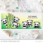 Preview: My Favorite Things - Stempelset "Pandastic" Clear Stamps