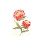 Preview: Crafters Companion - Stempelset "Perfect Peony" Clear Stamps