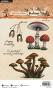 Preview: Studio Light - Stempelset "Mushrooms" Clear Stamps