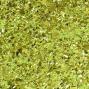 Preview: Cosmic Shimmer - Glitzermischung "Chartreuse" Spangles Set 2x10ml