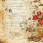 Preview: Creative Expressions - Designpapier "Autumn Song" Paper Pack 8x8 Inch - 24 Bogen  