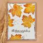 Preview: Creative Expressions - Stempelset "Fall Favourites" Clear Stamps 15,2x20,3cm Design by Taylor Made Journals